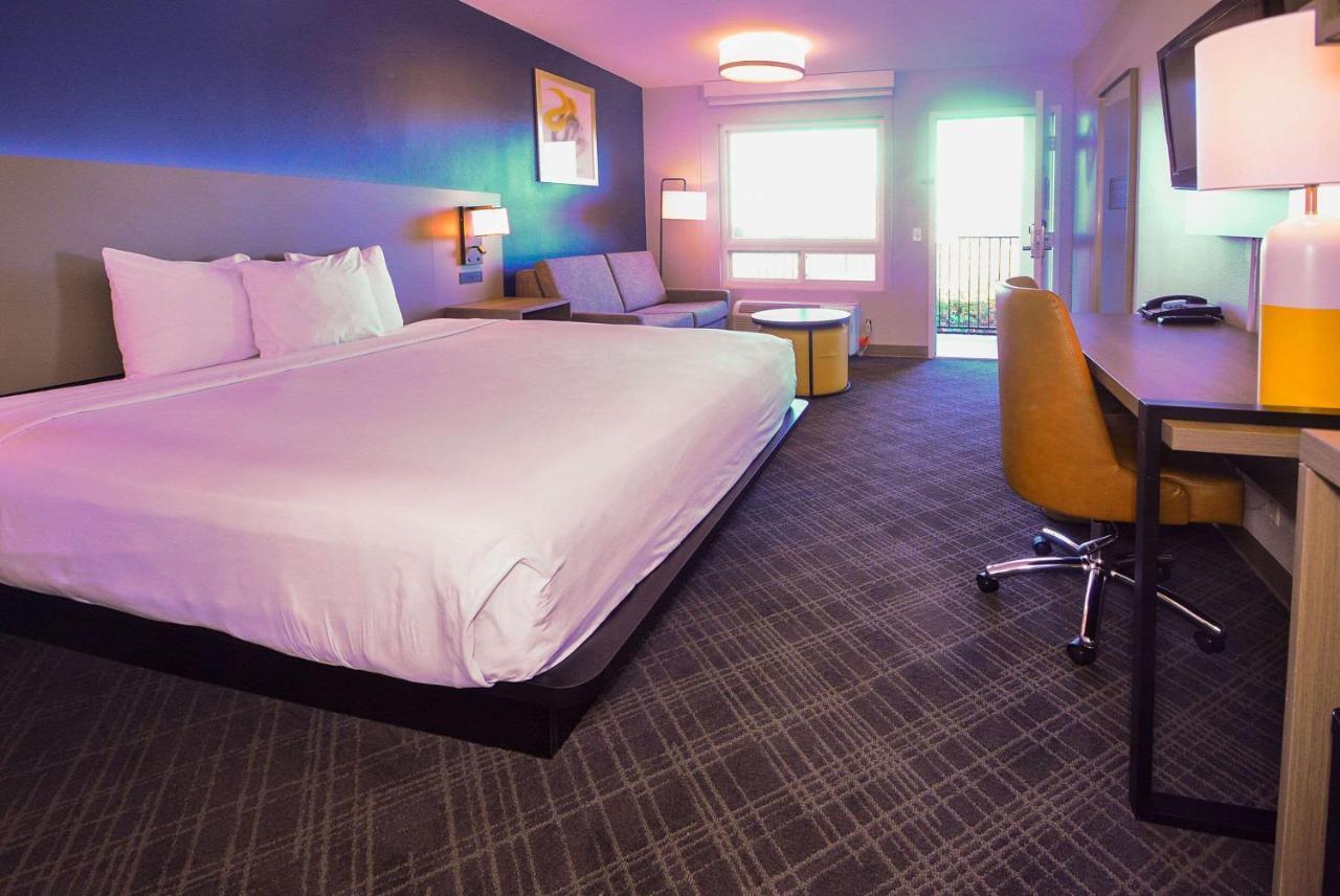 Comfort Inn Encinitas Near Legoland Extérieur photo